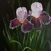 Iris
20 x 40
Oil on Canvas
