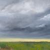 Storms Coming
12 x 24 
Oil on Canvas - Sold


