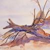 Driftwood Fox
16 x 20
Watercolour - Donated to Charity
