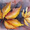 Fall Leaves
Matted 8 x 10
Watercolour - Sold

